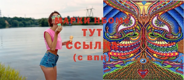 гидропоника Рославль