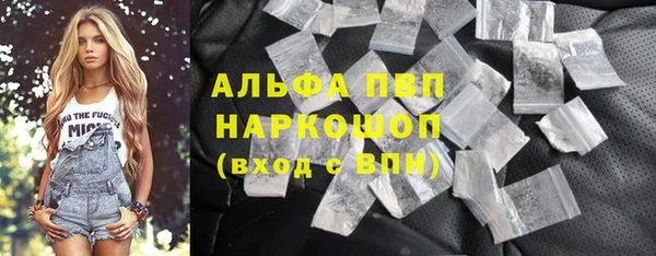 прущие грибы Балабаново