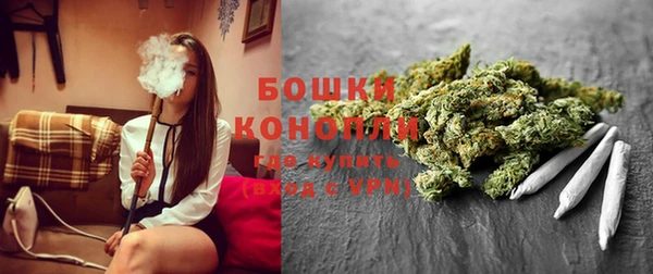 прущие грибы Балабаново