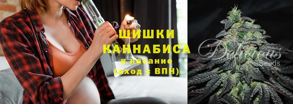 прущие грибы Балабаново
